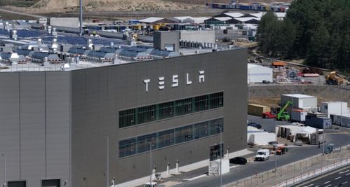 環保之名下的沖突 特斯拉柏林工廠縱火事件引發的思考