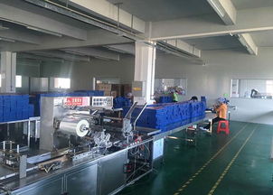 洗衣片代加工與網絡信息安全軟件開發(fā) 聚壹生物的創(chuàng)新之道